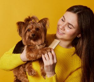 Comprehensive Guide to Dog Skin Conditions: Signs, Causes, Care, and Prevention