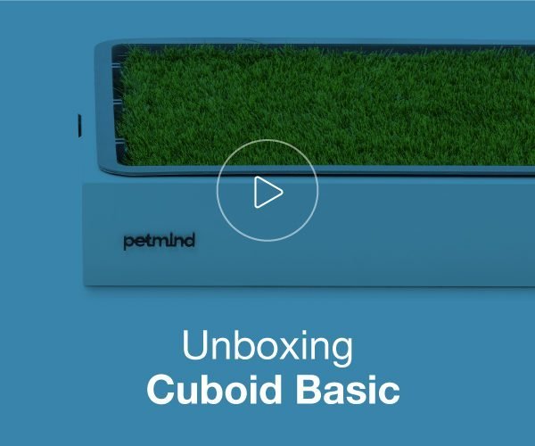 Cuboid Basic Unboxing