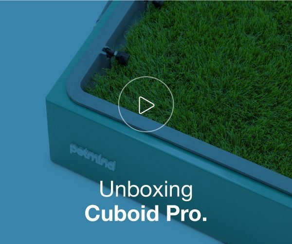 Cuboid Pro Unboxing